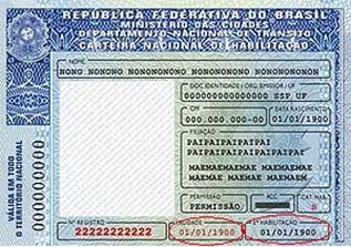 renovação cnh habilitação